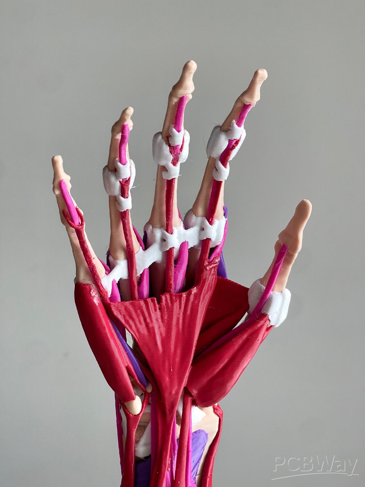 Federico Espinola Schulze