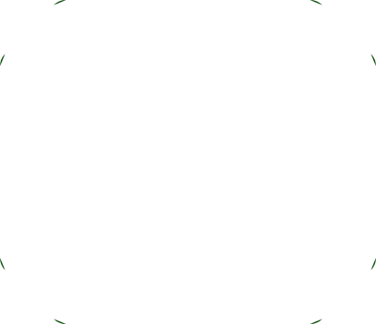 top.png