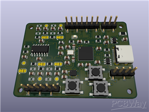 Smart Insole: Plantar Pressure and Gait Sensing Board