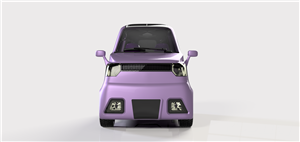 FORD MINI - FRONT VIEW.png