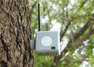 Forest Guard – Node (Transmitter) – Community Innovation Share