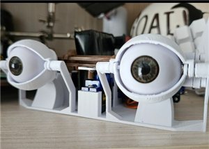 Animatronic Eyes
