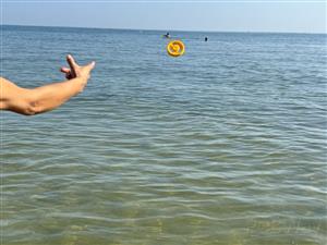 IMG_8662 - dimensioni grandi.jpeg