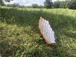 IMG_4310 - dimensioni medie.png