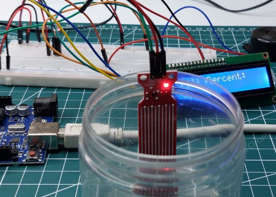 Play with Circuit.jpg