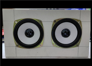 Bluetooth Speaker with Custom designed 15W dual channel Audio Amplifier