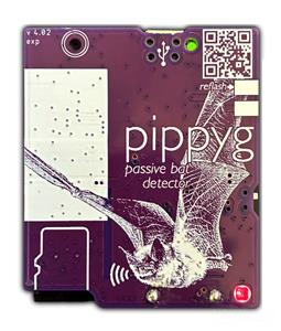 pyg-weebly.jpg