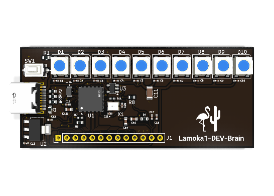 Lamoka1-DEV-Brain.png