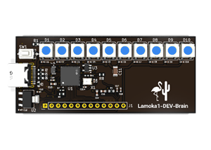 Lamoka1-DEV-Brain