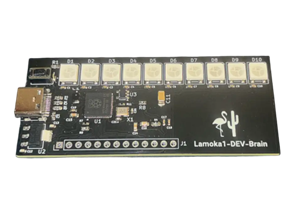 Lamoka1-DEV-Brain