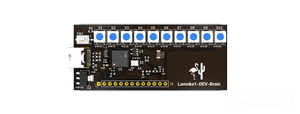 Lamoka1-DEV-Brain.png